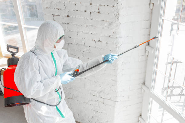 Best Residential Mold Inspection & Testing in USA